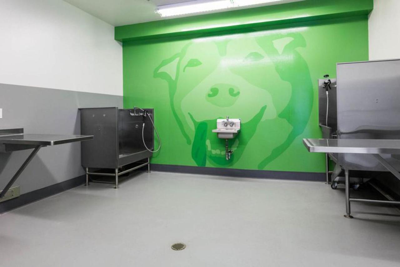 San Jose 1br W Wd Pool Gym Bbq Nr Freeways Sfo-483 Apartamento Santa Clara